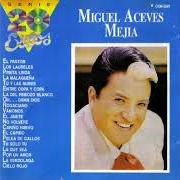 Der musikalische text EL JINETE von MIGUEL ACEVES MEJÍA ist auch in dem Album vorhanden Mexicanisimo (2013)