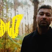 Der musikalische text WALD von MARTERIA ist auch in dem Album vorhanden Wald (2024)