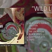 Der musikalische text PRISMS von 65DAYSOFSTATIC ist auch in dem Album vorhanden Wild light (2013)