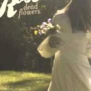 Der musikalische text ANSWER IN ONE OF THOSE BOTTLES von CAITLIN ROSE ist auch in dem Album vorhanden Dead flowers (2010)