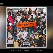 Der musikalische text FREE RIO von PEEZY ist auch in dem Album vorhanden Free rio (2021)