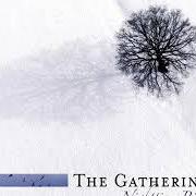 Der musikalische text ON MOST SURFACES (INUIT) von THE GATHERING ist auch in dem Album vorhanden Nighttime birds (1997)