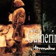 Der musikalische text THIRD CHANCE von THE GATHERING ist auch in dem Album vorhanden Adrenaline / leaves (1996)