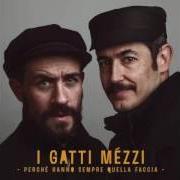 Der musikalische text NORA von I GATTI MÉZZI ist auch in dem Album vorhanden Perchè hanno sempre quella faccia (2016)