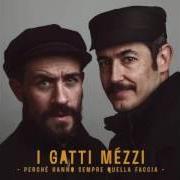 Der musikalische text IL MARE È UNA SCUSA von I GATTI MÉZZI ist auch in dem Album vorhanden Perchè hanno sempre quella faccia (2016)