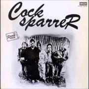 Der musikalische text TROUBLE ON THE TERRACES von COCK SPARRER ist auch in dem Album vorhanden Cock sparrer (1978)