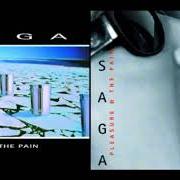 Der musikalische text FANTASTICALLY WRONG von SAGA (CANADA) ist auch in dem Album vorhanden Pleasure & the pain (1997)