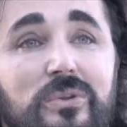 Pettirosso Pettirosso