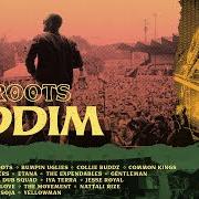 Der musikalische text THESE ARE MY ROOTS von COLLIE BUDDZ ist auch in dem Album vorhanden Cali roots riddim 2020 (2020)