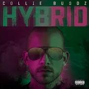 Der musikalische text LOVE IS LIFE von COLLIE BUDDZ ist auch in dem Album vorhanden Hybrid (2019)