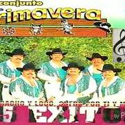 Der musikalische text CUMBIA FRANCESA (LIVE) von CONJUNTO PRIMAVERA ist auch in dem Album vorhanden Para ti nuestra historia (disco 1) (2006)