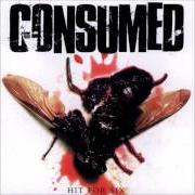 Der musikalische text ON THE TAKE AGAIN von CONSUMED ist auch in dem Album vorhanden Hit for six (1999)