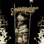 Der musikalische text TOWING JEHOVAH von CONVERGE ist auch in dem Album vorhanden When forever comes crashing (1998)