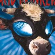 Der musikalische text RATTLESNAKE BLUES von ACID DRINKERS ist auch in dem Album vorhanden High proof cosmic milk (1998)