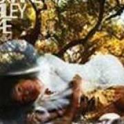 Der musikalische text PAPER DOLLS von CORINNE BAILEY RAE ist auch in dem Album vorhanden The sea (2010)