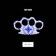 Der musikalische text CHILDREN OF THE WILD von STEVE ANGELLO ist auch in dem Album vorhanden Wild youth (2015)