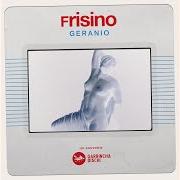 Der musikalische text QUEL TUO STUPIDO PROFUMO von FRISINO ist auch in dem Album vorhanden Italian touch (2020)
