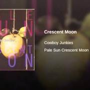 Der musikalische text CRESCENT MOON von COWBOY JUNKIES ist auch in dem Album vorhanden Pale sun, crescent moon (1993)