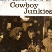 Der musikalische text TO LAY ME DOWN von COWBOY JUNKIES ist auch in dem Album vorhanden Rarities, b-sides and slow, sad waltzes (1999)