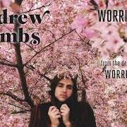 Der musikalische text TAKE IT FROM ME von ANDREW COMBS ist auch in dem Album vorhanden Worried man (2012)