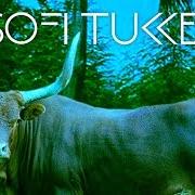 Der musikalische text MATADORA von SOFI TUKKER ist auch in dem Album vorhanden Soft animals (2016)