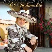 Der musikalische text DIVINA ILUSIÓN von CRISTIAN CASTRO ist auch in dem Album vorhanden El indomable (2007)