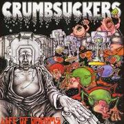 Der musikalische text SUPER TUESDAY von CRUMBSUCKERS ist auch in dem Album vorhanden Life of dreams (1986)