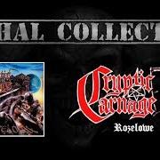 Der musikalische text BEAUTY AT EVERYTIME von CRYPTIC CARNAGE ist auch in dem Album vorhanden Rozelowe (1998)