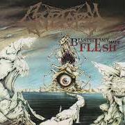 Der musikalische text GRAVAGED (A CRYPTOPSY) von CRYPTOPSY ist auch in dem Album vorhanden Blasphemy made flesh (1995)