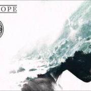 Der musikalische text FORGIVE von FORT HOPE ist auch in dem Album vorhanden The flood flowers, vol. 1 (2017)