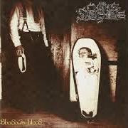 Der musikalische text LADY OF LIES von CULTUS SANGUINE ist auch in dem Album vorhanden Shadows' blood (1997)