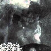 Der musikalische text I RIDE THE WINDS OF HATE von CULTUS SANGUINE ist auch in dem Album vorhanden Cultus sanguine (1994)