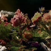Der musikalische text FLOWERS von NATHANIEL RATELIFF ist auch in dem Album vorhanden Flowers (2025)