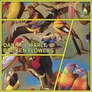 Der musikalische text BROKEN FLOWERS von DANNY L HARLE ist auch in dem Album vorhanden Broken flowers (2015)