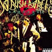 Der musikalische text WE RUN THINGS von DA BUSH BABEES ist auch in dem Album vorhanden Ambushed (1994)