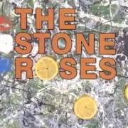 The stone roses