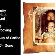 Der musikalische text ONE MORE CUP OF COFFEE von DAMIAN MARLEY ist auch in dem Album vorhanden Mr. marley