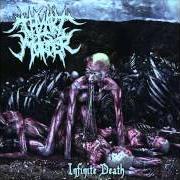 Der musikalische text PARASITIC AUTOPSY von THY ART IS MURDER ist auch in dem Album vorhanden Infinite death - ep (2008)