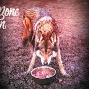 Der musikalische text NO MOTHER von RAG'N'BONE MAN ist auch in dem Album vorhanden Wolves (2014)
