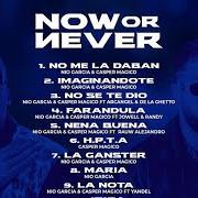 Der musikalische text IBIZA von NIO GARCIA ist auch in dem Album vorhanden Now or never (2020)