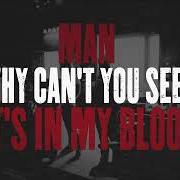 Der musikalische text SEE THE MAN von CODY JINKS ist auch in dem Album vorhanden In my blood (2025)
