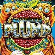 Der musikalische text ENTER von TWIDDLE ist auch in dem Album vorhanden Plump (chapters 1 & 2) (2017)