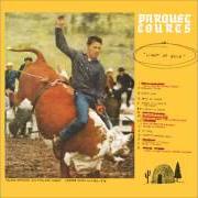 Der musikalische text N. DAKOTA von PARQUET COURTS ist auch in dem Album vorhanden Light up gold (2013)