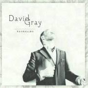 Der musikalische text KNOWHERE von DAVID GRAY ist auch in dem Album vorhanden A new day at midnight (2002)