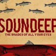 Der musikalische text TEARDROPS von SOUNDEEP ist auch in dem Album vorhanden The shades of all your eyes (2018)