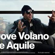 Der musikalische text NO LOVE von LUCHE ist auch in dem Album vorhanden Dove volano le aquile (2022)