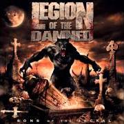 Der musikalische text INFERNAL WRATH von LEGION OF THE DAMNED ist auch in dem Album vorhanden Sons of the jackal (2007)