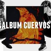 Der musikalische text FVCK LUV von DUKI & C.R.O ist auch in dem Album vorhanden Cuervos (2019)