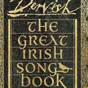 Der musikalische text THERE'S WHISKEY IN THE JAR (FEAT. THE STEELDRIVERS) von DERVISH ist auch in dem Album vorhanden The great irish songbook (2019)