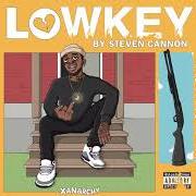 Der musikalische text PULL UP MUSIC von STEVEN CANNON ist auch in dem Album vorhanden Lowkey (2019)